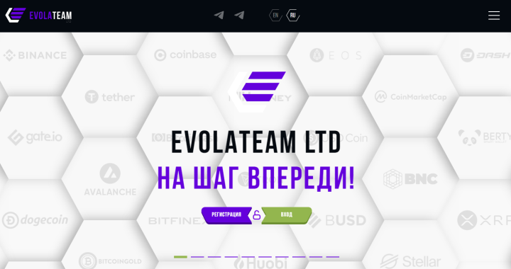 Обзор проекта EvolaTeam