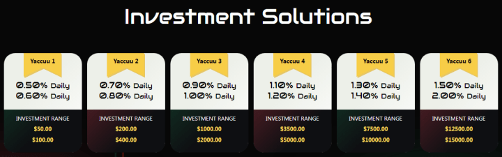 Инвестиционные планы проекта Yaccuura Инвестиционные планы проекта Yaccuura