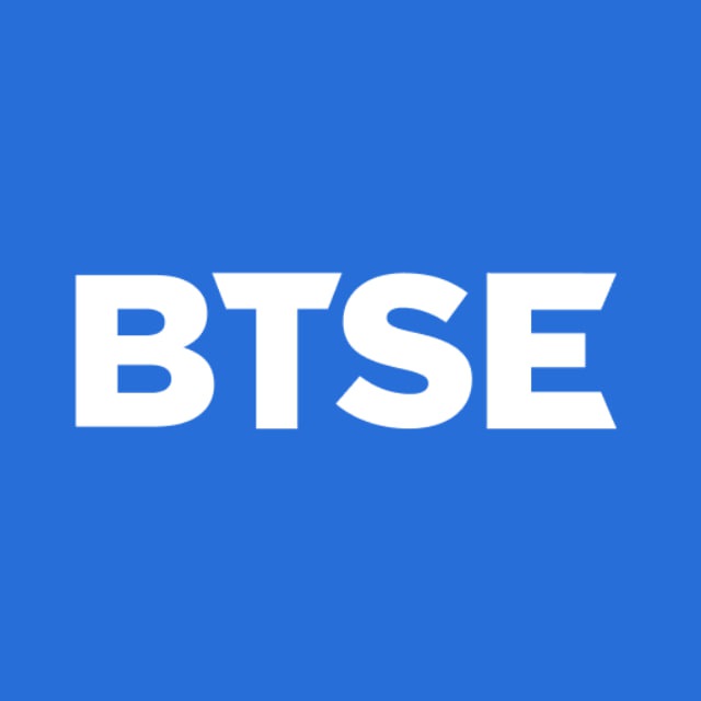 Обзор и отзывы инвестиционного проекта AI-BTSE