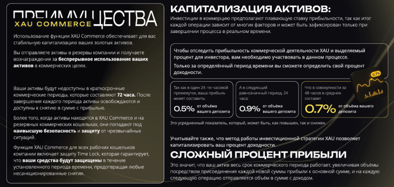 Маркетинг проекта Xau Маркетинг проекта Xau