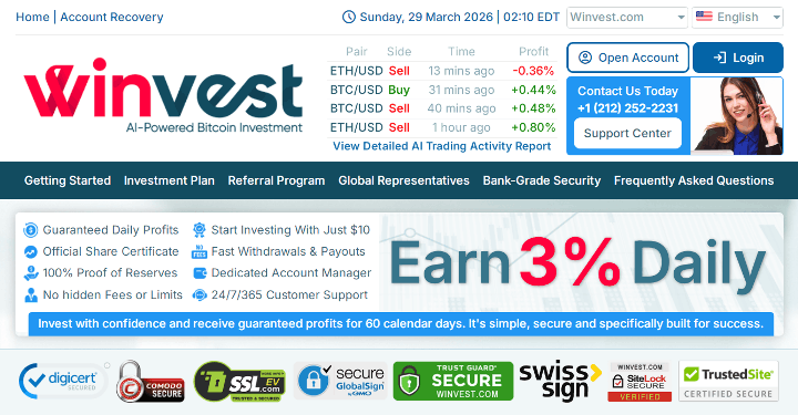 Обзор проекта Winvest